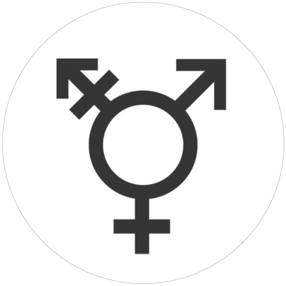 Transgender Button