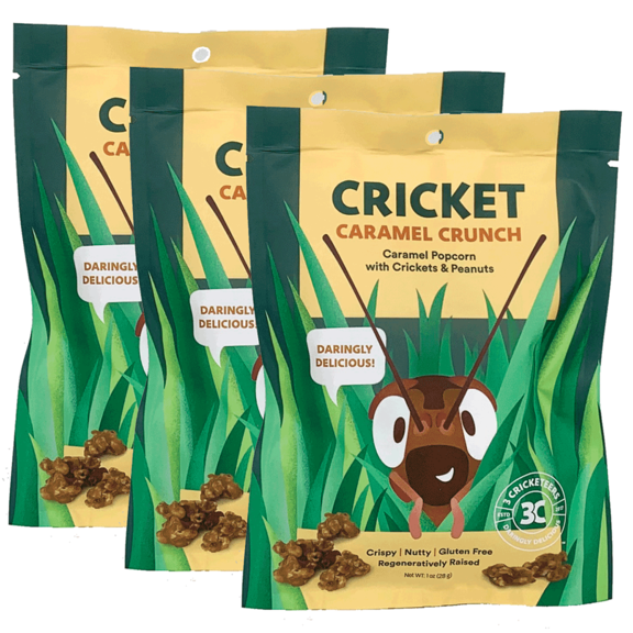 Caramel Cricket Crunch 3 Pack