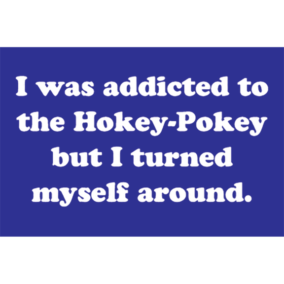 I Was Addicted To Hokey Pokey Magnet