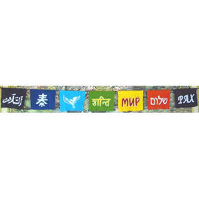 Banner Rainbow