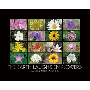 Earth Laughs Emerson 2x3 Magnet