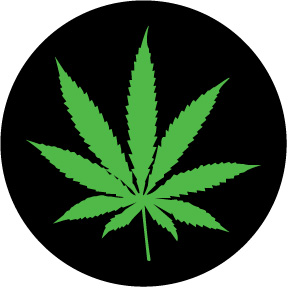 Pot Leaf Pictures