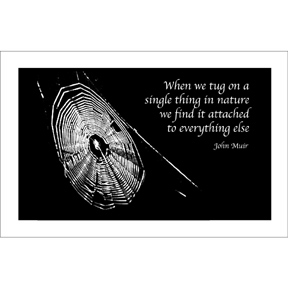 MUIR QUOTE Poster