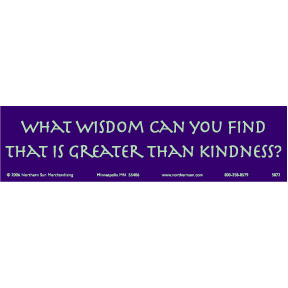 WHAT WISDOM CAN YOU FIND Bumper Sticker