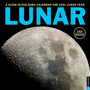 Authors Rock Stars 2013 Calendar