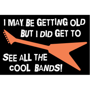 Cool Bands 2x3 Magnet