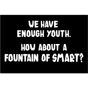 Fountain 2x3 Magnet