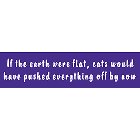 If Earth Were Flat Cats Bumper Sticker