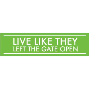 Live Like They Left The Gate Open Bumper Sticker