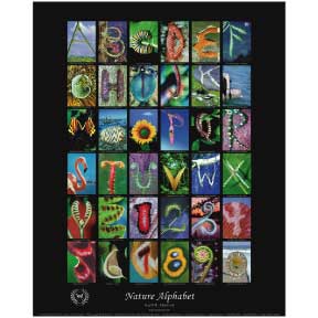 NATURE ALPHABET Poster