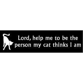 LORD HELP ME (CAT)  Bumper Sticker