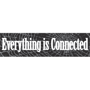 EVERYTHING IS CONNECTED Bumper Sticker