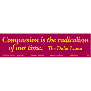 COMPASSION IS THE RADICALISM Bumper Sticker