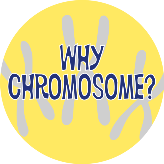 Why Chomosome Button GONE