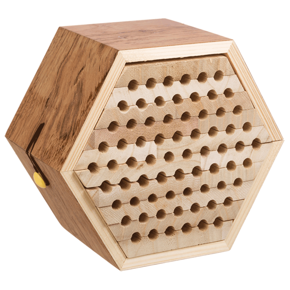 Solitary Bee Habitat