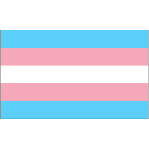 gay flag png transparent