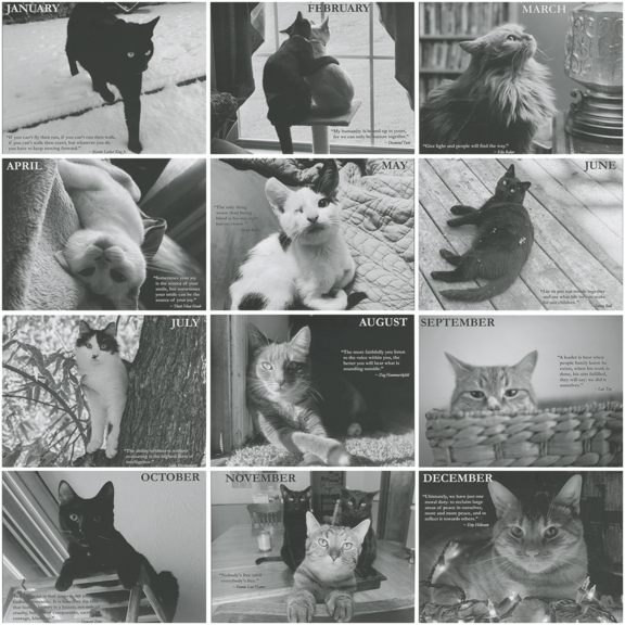Cat Lovers Calendar