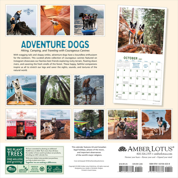 Adventure Dogs Calendar