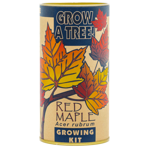Red Maple Grow A Tree Seed Kit