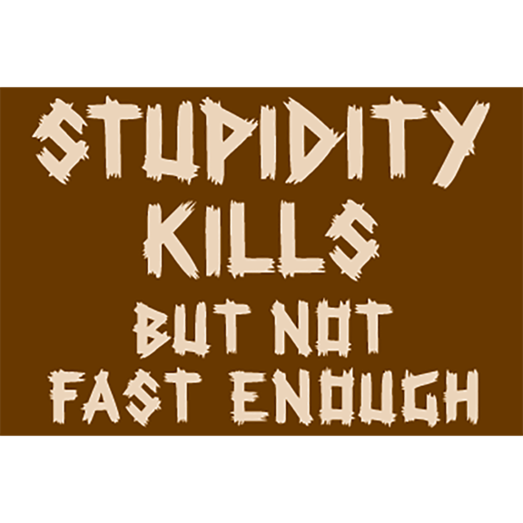 Stupidity Kills Magnet