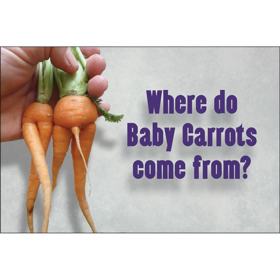 Where Baby Carrots Come From Magnet