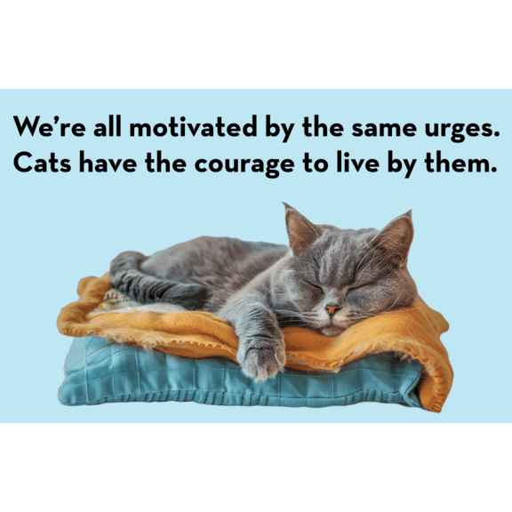 Cats Courage Magnet