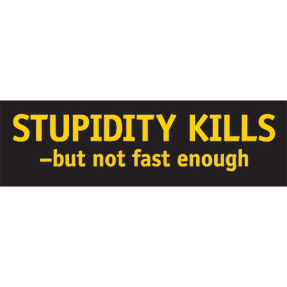Stupidity Kills Sticker