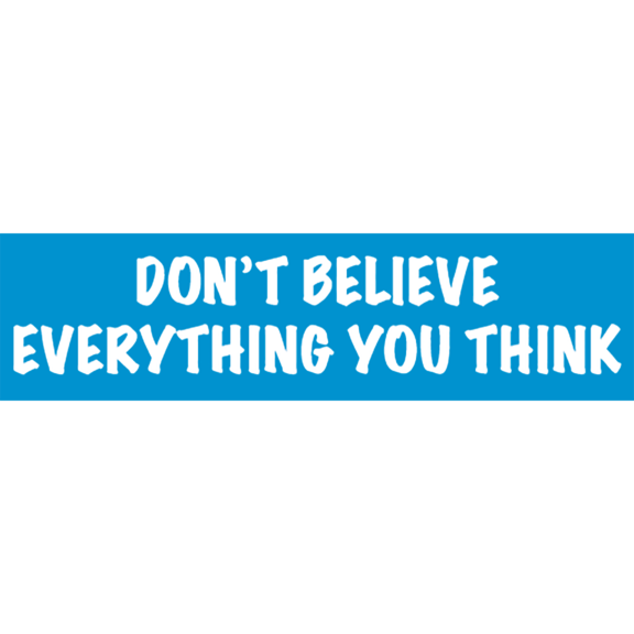 Don't Believe Everything Bumper Sticker