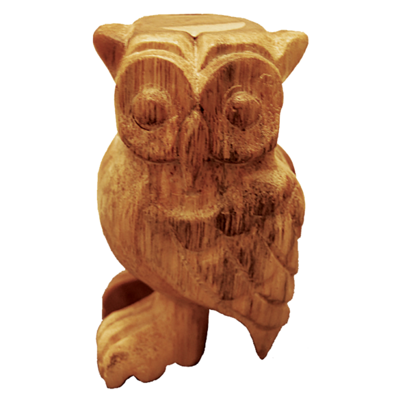 Hooting Owl