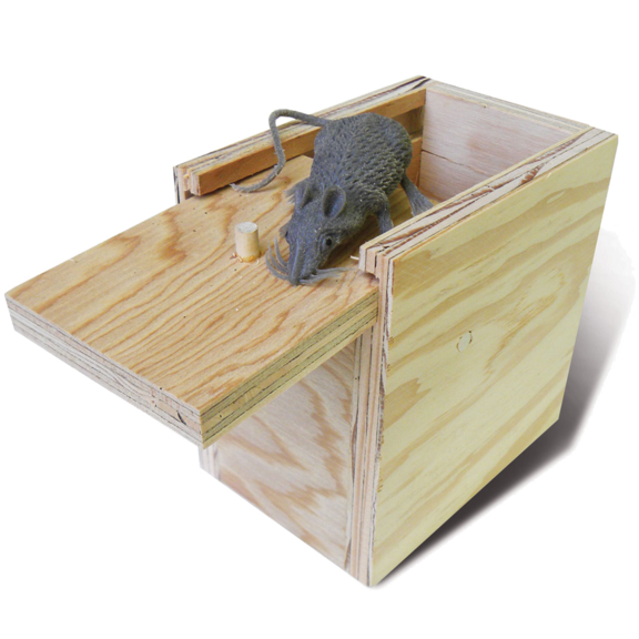 Mouse In A Box GONE
