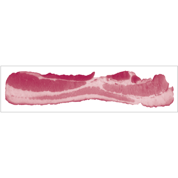 Bacon Strip Bumper Sticker