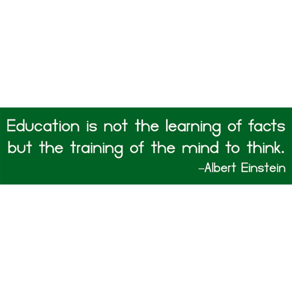 Education Albert Einstein Bumper Sticker GONE