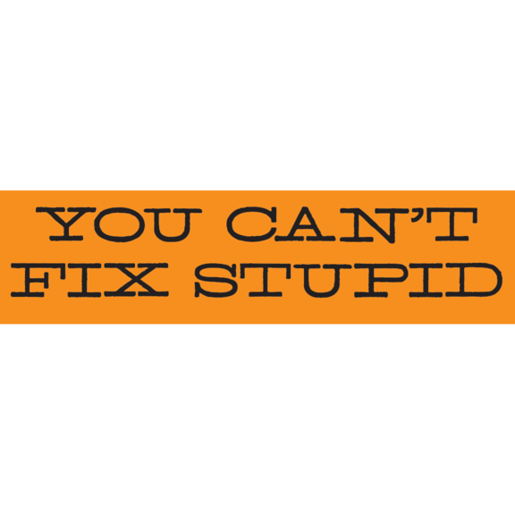 Can't Fix Stupid Bumper Sticker GONE