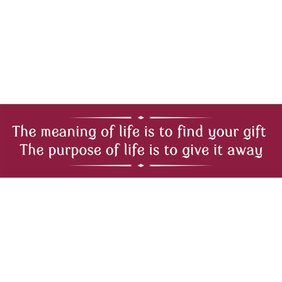 Meaning Purpose Bumper Sticker GONE