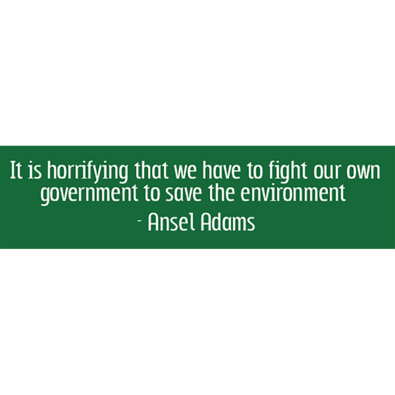Fight Government Ansel Adams Bumper