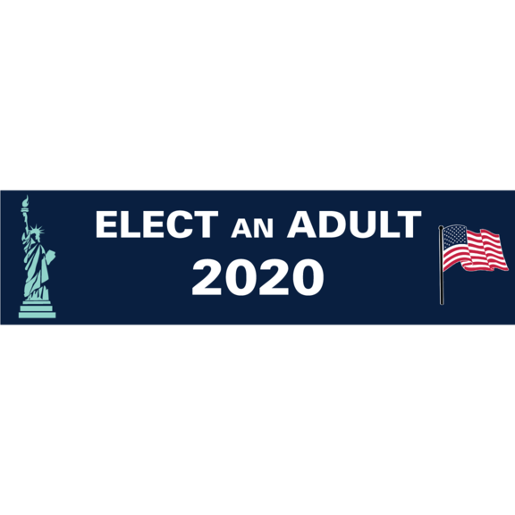 Elect An Adult 2020 Bumper Sticker GONE