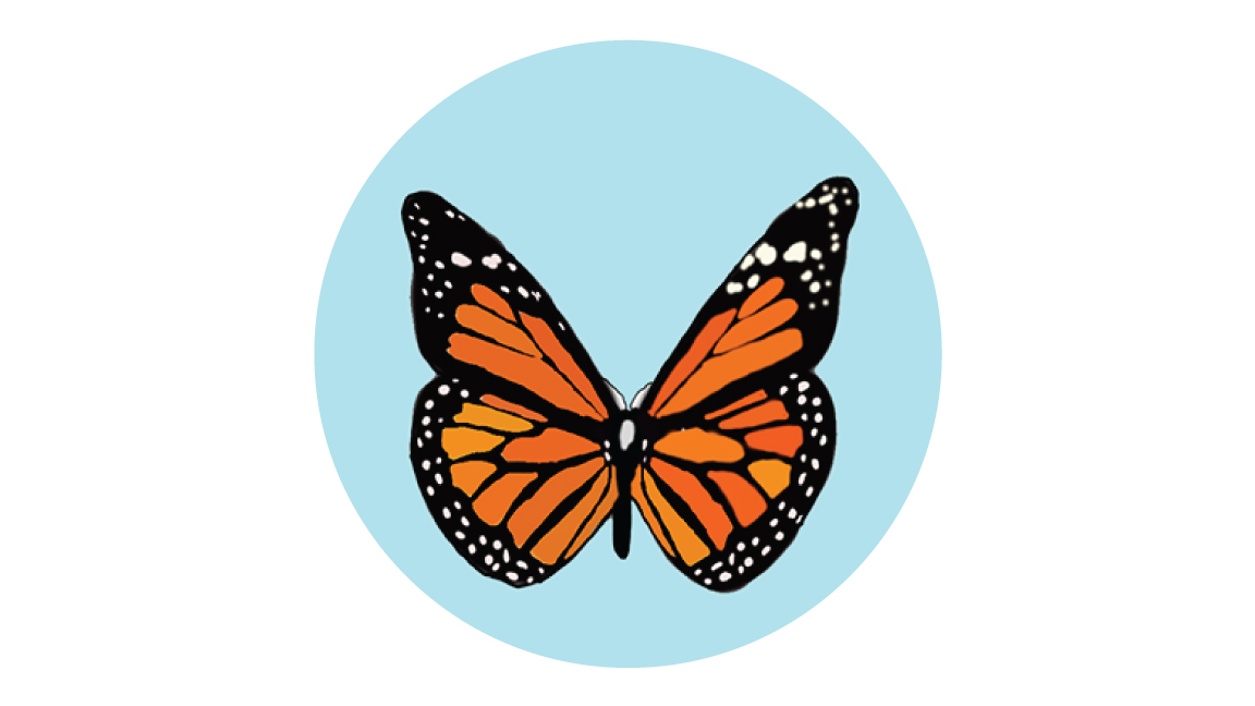Butterfly Button