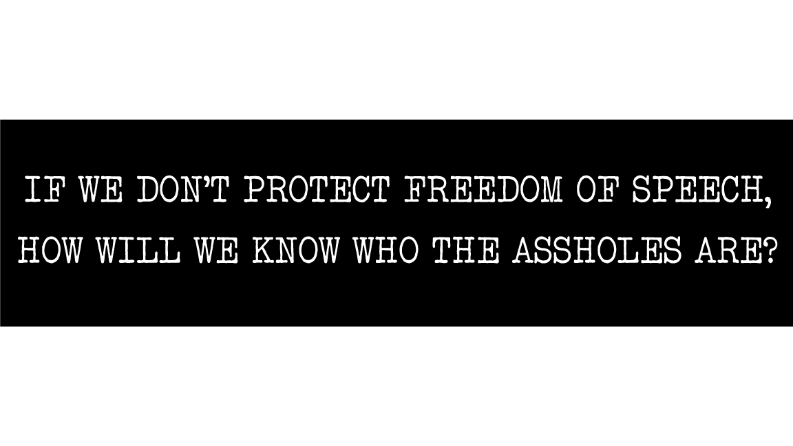 Protect Speech Bumper Sticker