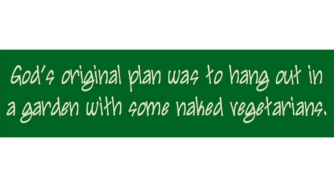 God's Original Plan Bumper Sticker