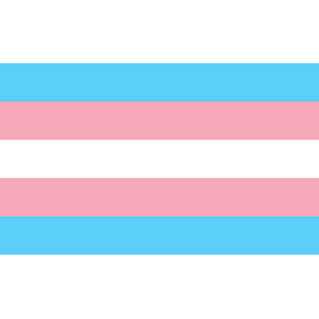 Transgender Flag 3x5