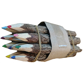 Small Twig Color Pencil 10 Pack