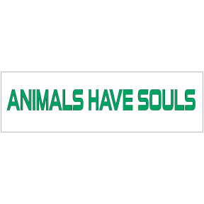 Animals Have Souls Sticker