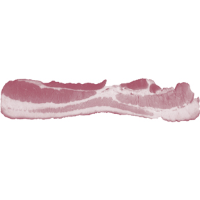 Bacon Strip Bumper Sticker