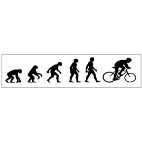 Bike Evolution Sticker