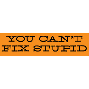 Can't Fix Stupid Bumper Sticker