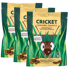 Caramel Cricket Crunch 3 Pack