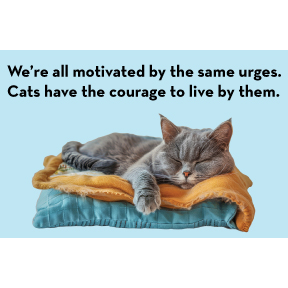 Cats Courage Magnet