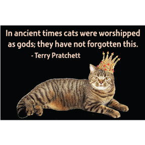 Cats Were Worshipped Magnet