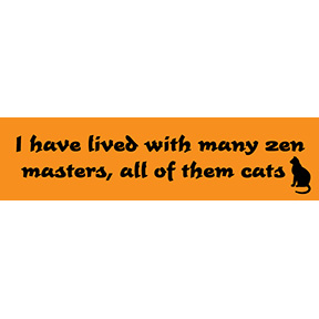Cats Zen Masters Bumper Sticker