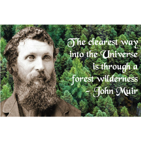 Clearest Way John Muir Magnet